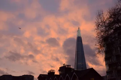 DSC_5686 (Large).JPG